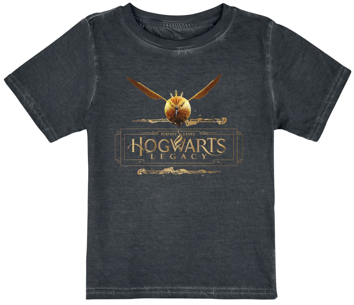 Harry Potter Hogwarts Legacy T-Shirt schwarz