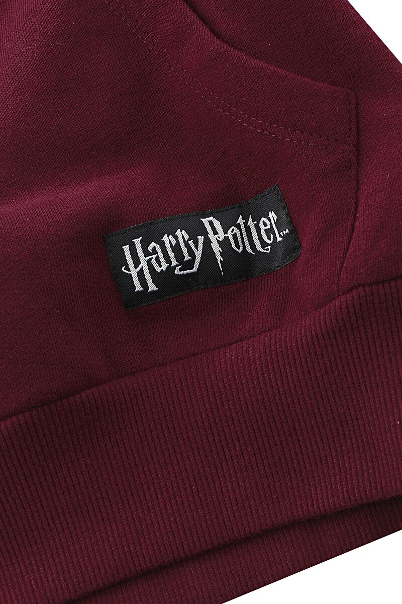 Harry Gryffindor | Potter Kapuzenpullover - EMP | Kids