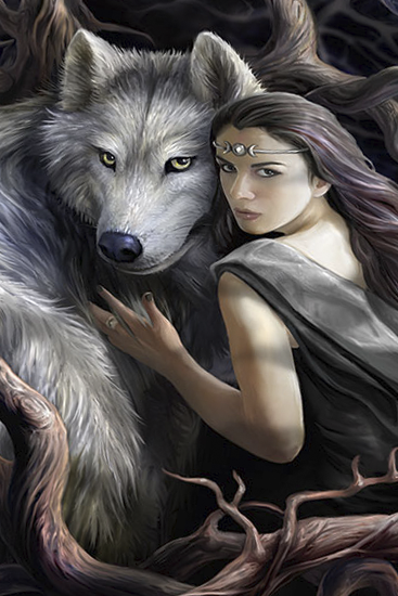 Anne Stokes Wolf Bettwäsche multicolor